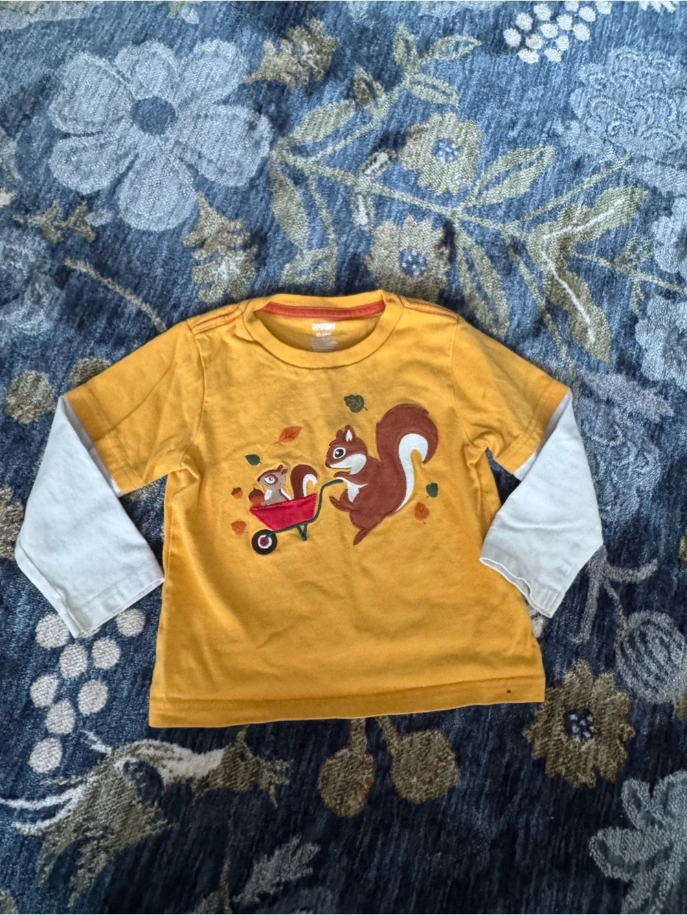 Bundle of 2 Gymboree Autumn Fall Layered Shirts